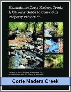 CM Creek Guidelines