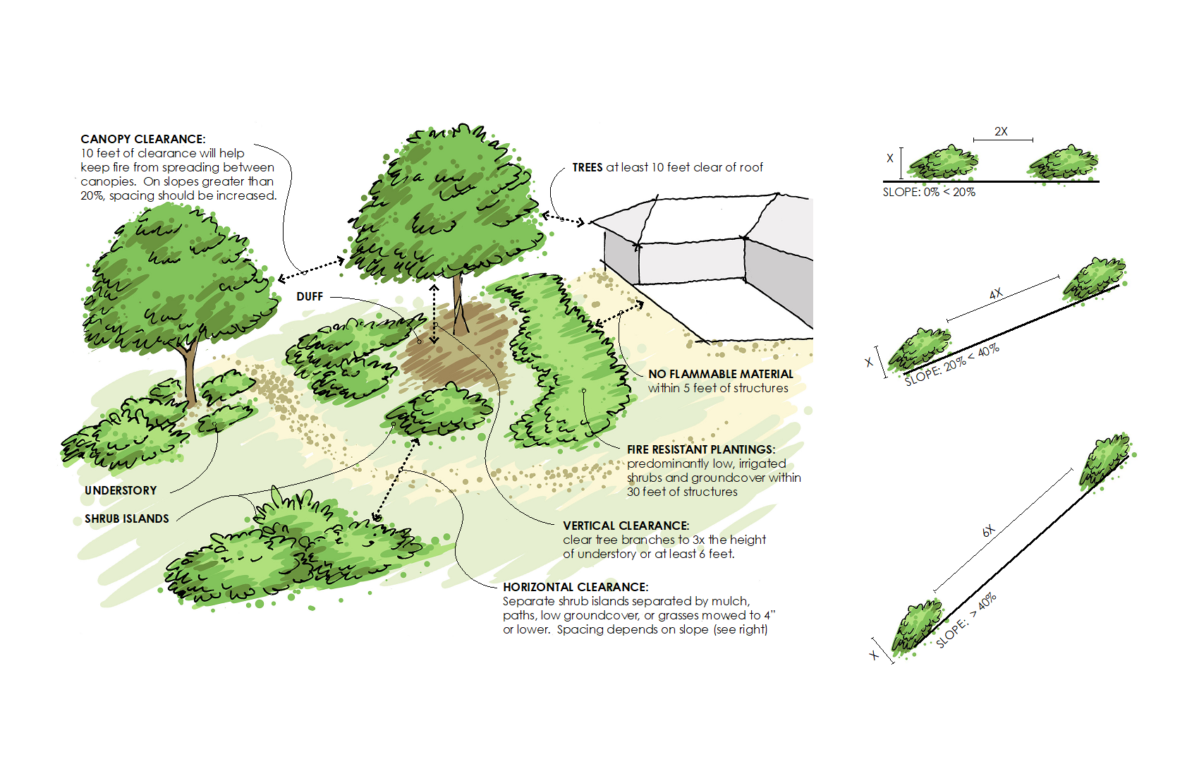 understory habitat