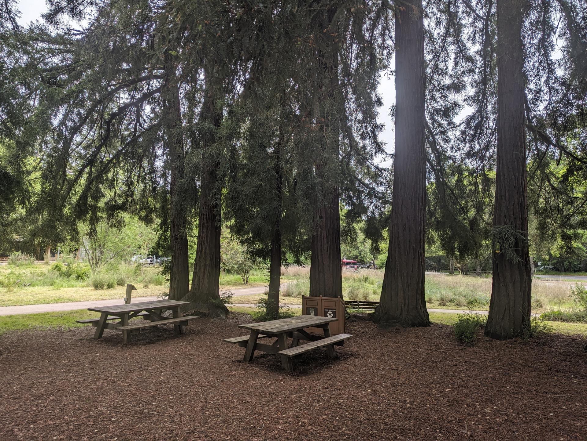 Picnic Area