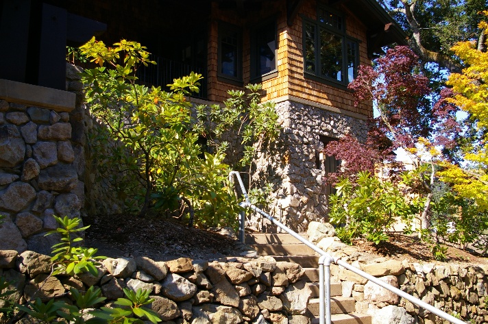 Relocated Rhododendrons